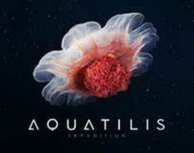 Болашақтың саясында өткен мереке: Алматыда «Тамырлас» жобасы басталды