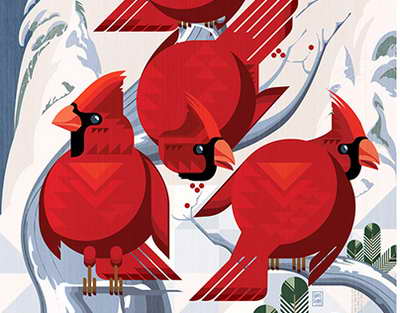 'Ağ Ev' Terrorla Mübarizə Milli Mərkəzinin direktorunun iddialarına cavab verib