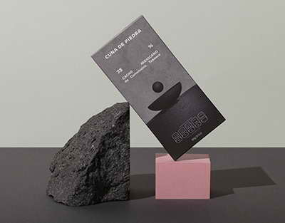 Le ministre a discuté des solutions internet sûres